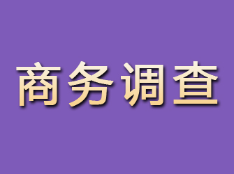 伊春商务调查